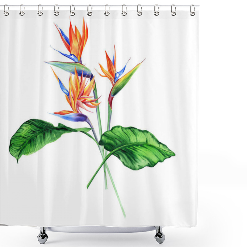 Personality  Watercolor Bouquets With Tropical Plants, Leaves And Strelitzia Flowers. Great For Valentines, Wedding Invites, Hawaii Birthday And Beach Party Shower Curtains