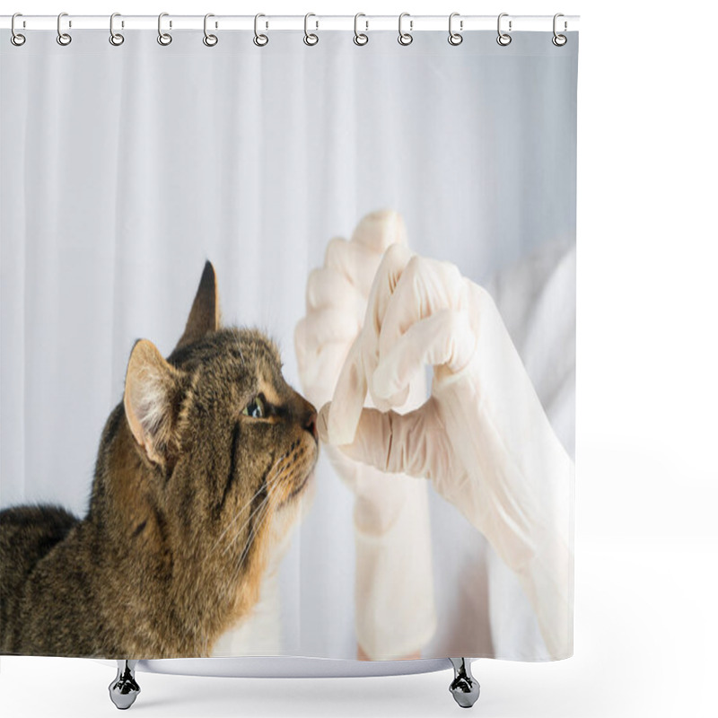 Personality  Cat Pill. Sick Animal. Vet. Medicine Cat Give The Cat A Pill. Shower Curtains