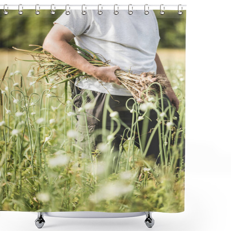 Personality  Handful Of Freshly Picked Garlic In The Field With Roots And Lot Of Dirt And Soil. Shower Curtains