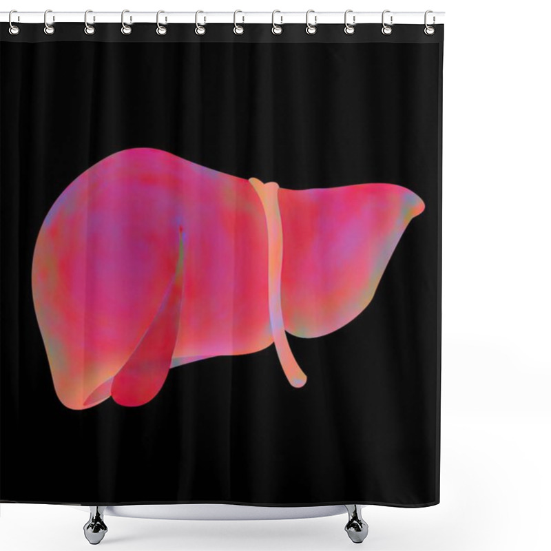 Personality  Liver. Medical Illustration, Human Anatomy Shower Curtains