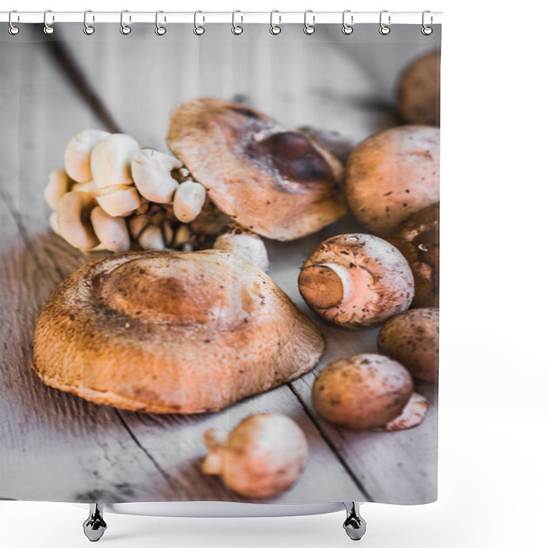 Personality  Wild Mushrooms Shower Curtains