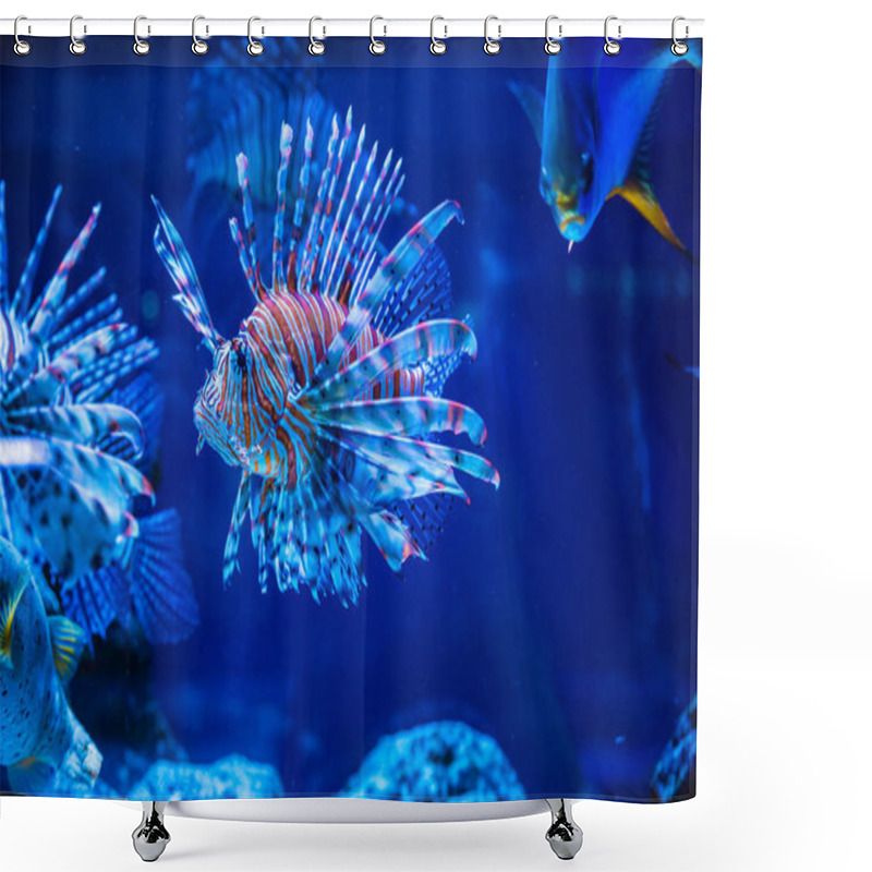 Personality  Tropical Lion Fish   Shower Curtains