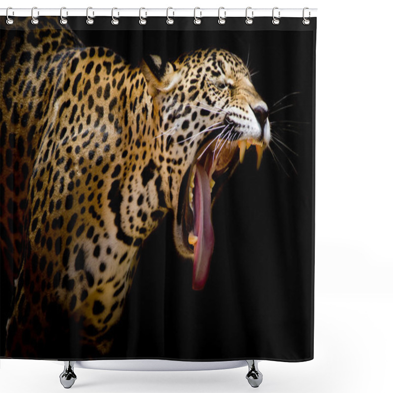 Personality  Jaguar Portrait Shower Curtains