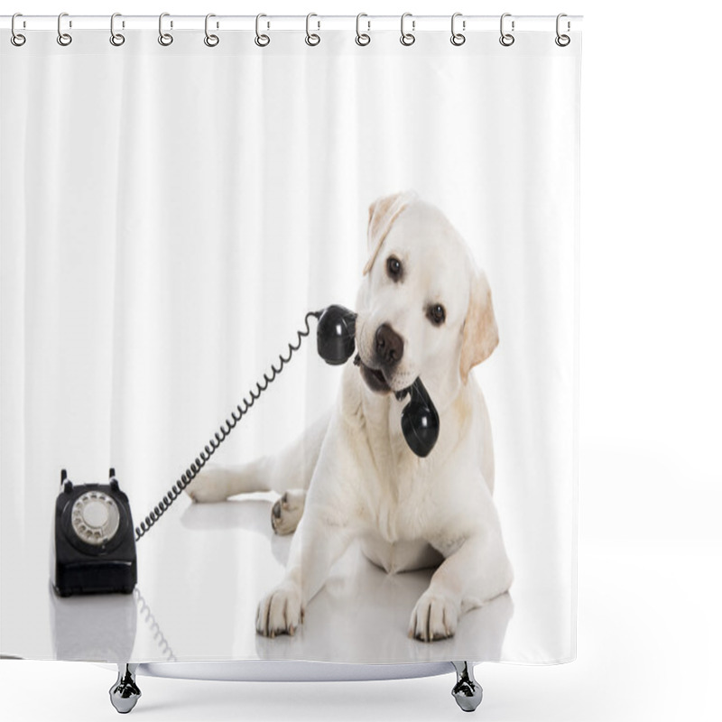 Personality  Labrador Answering A Call Shower Curtains