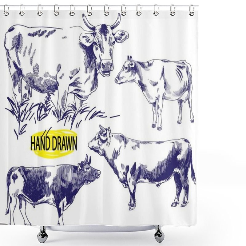 Personality  Set Of Images Of A Cow. Image Set Of Farm Animals. . Vintage Style Image, Vintage Image. Freehand Drawing. Meat And Milk. Shower Curtains