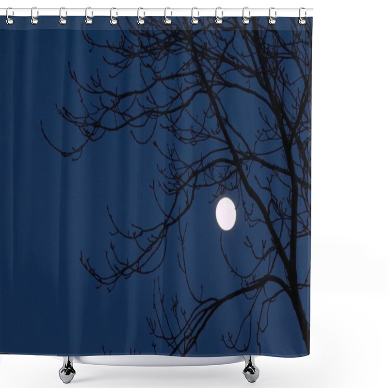 Personality  Full Moon Shining Through Tree Branches Shower Curtains