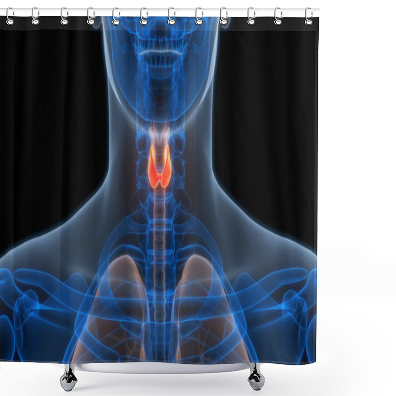 Personality  Human Body Glands Thyroid Gland Anatomy. 3D Shower Curtains