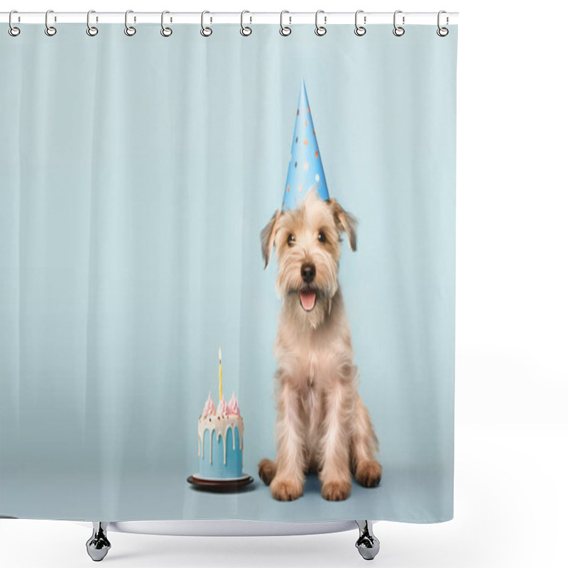 Personality  Happy Cute Scruffy Dog Celebrating With Birthday Cake And Party Hat, Blue Background With Copy Space To Side Shower Curtains