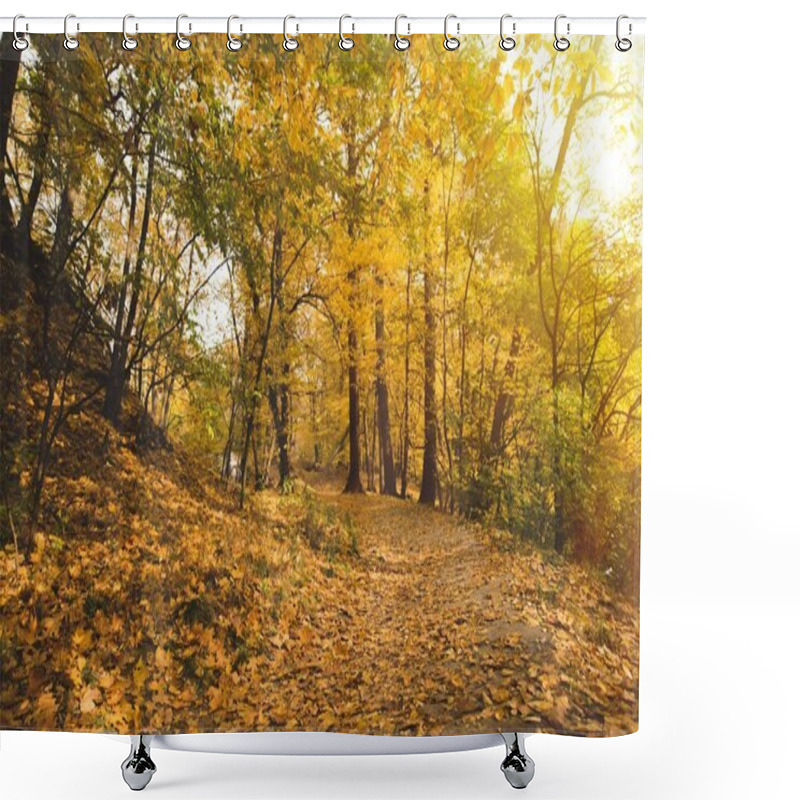 Personality  Autumn Forest Shower Curtains