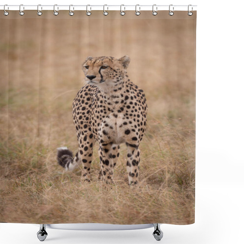 Personality  Cheetah Stands In Long Grass Looking Out Shower Curtains