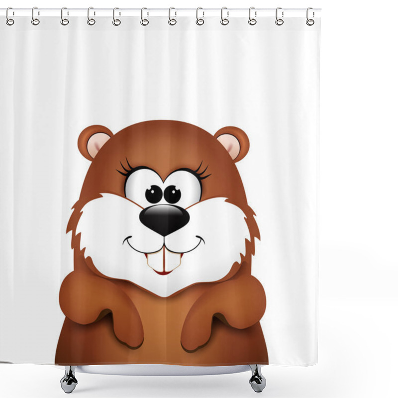 Personality  Groundhog Day. Marmot On White Background. Shower Curtains