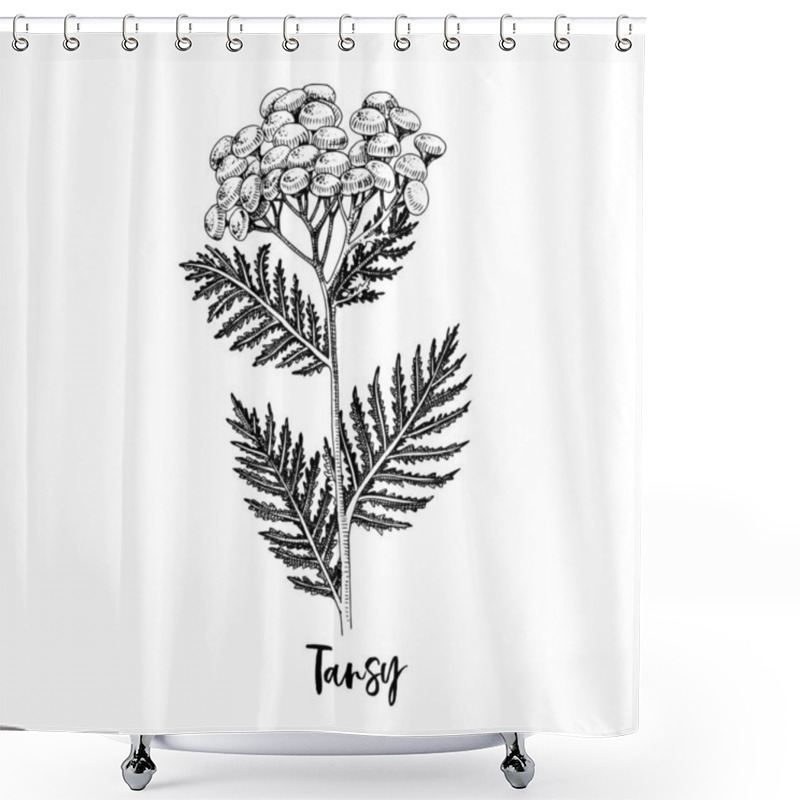 Personality  Branch Of Tansy. Medicinal Herb Shower Curtains