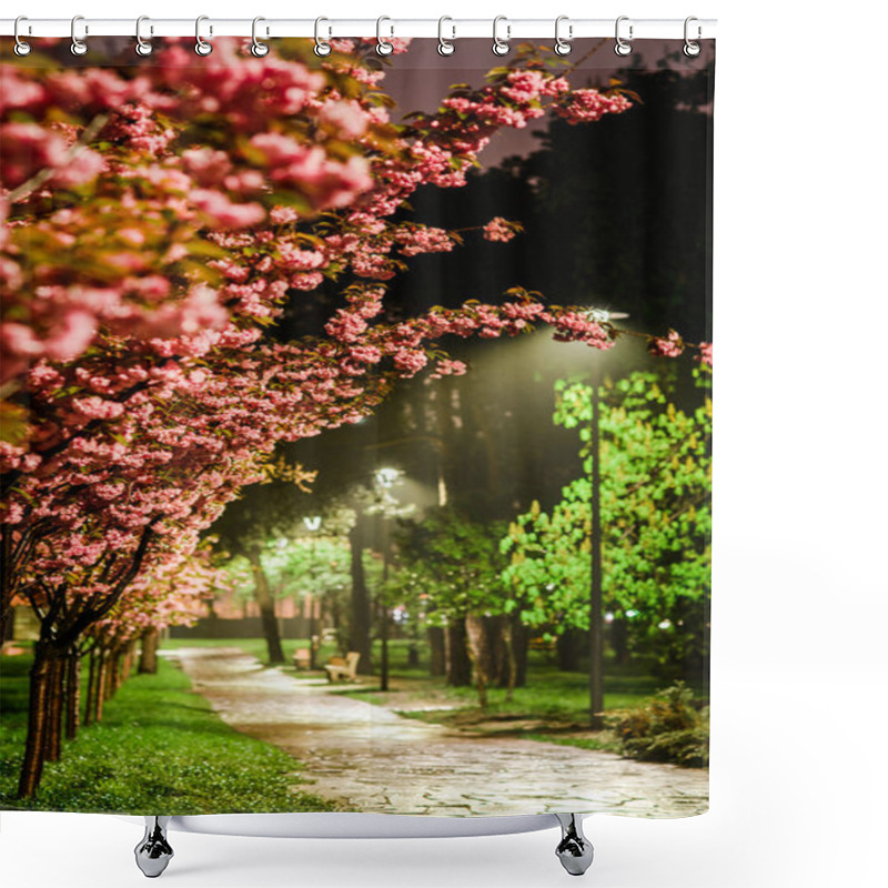 Personality  Rose Cherry Blossom Park On Spring Rainy Evening, Street Lights Shower Curtains