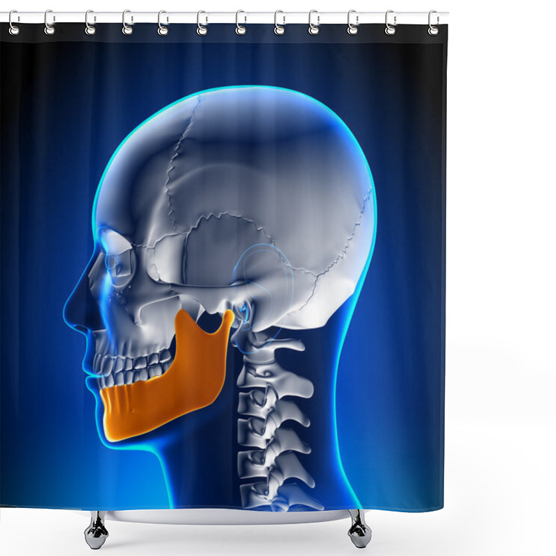 Personality  Brain Anatomy - Mandible Shower Curtains