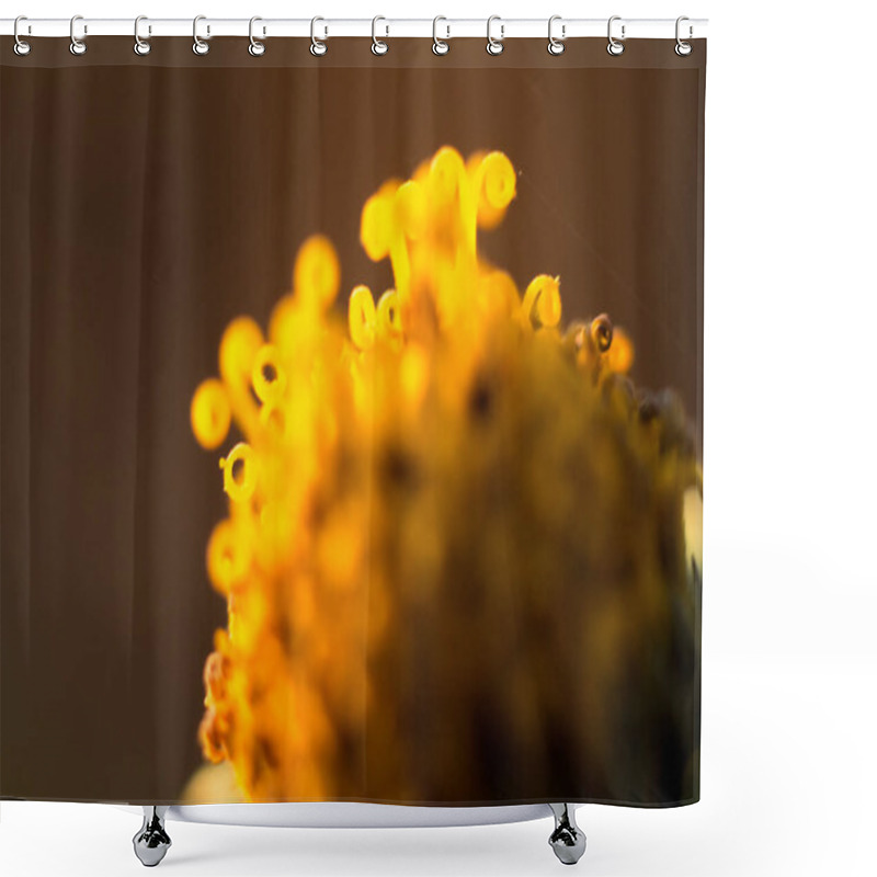 Personality  Close-up Of A Vibrant Yellow Jerusalem Artichoke Flower, Showcasing The Intricate Beauty And Bright Colors Of This Herbaceous Bloom Shower Curtains