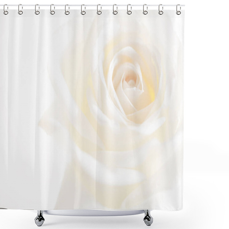 Personality  Rose Flowers Close Up On Background. Shower Curtains