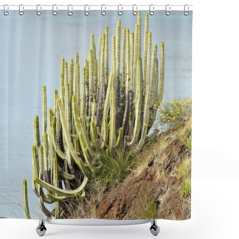 Personality  Succulent  On Steep Cliff Shower Curtains