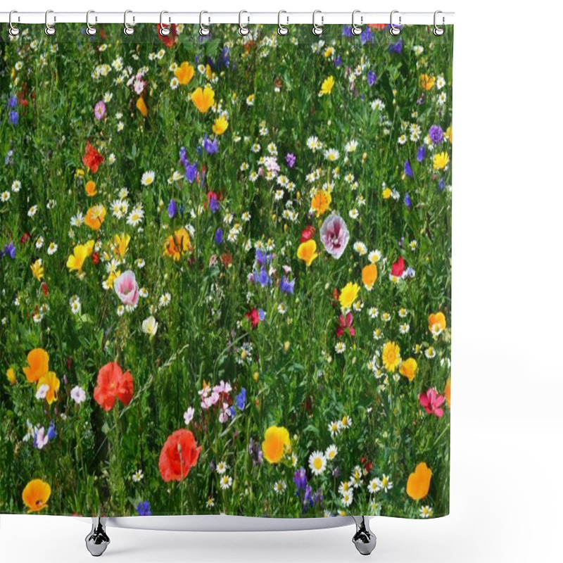 Personality  Summer Meadow Flowers, Flora And Nature Shower Curtains