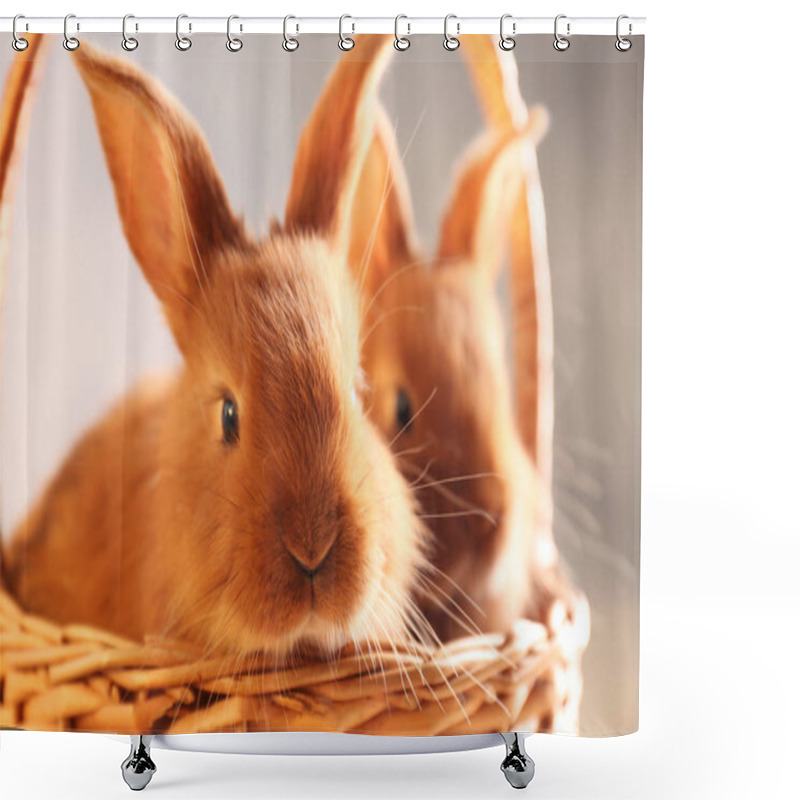 Personality  Cute Funny Rabbits   Shower Curtains