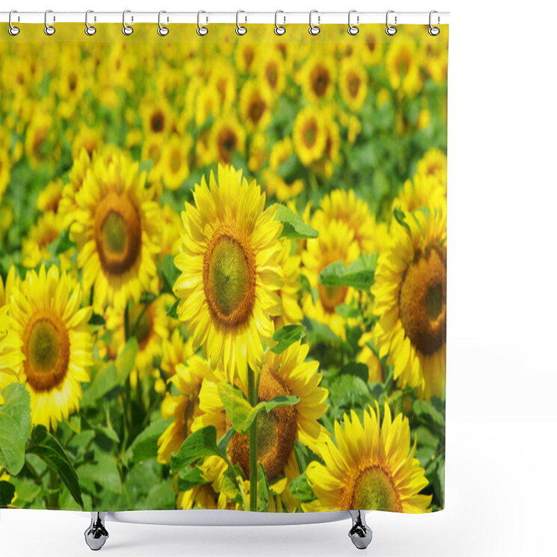 Personality  Sunflowers Shower Curtains