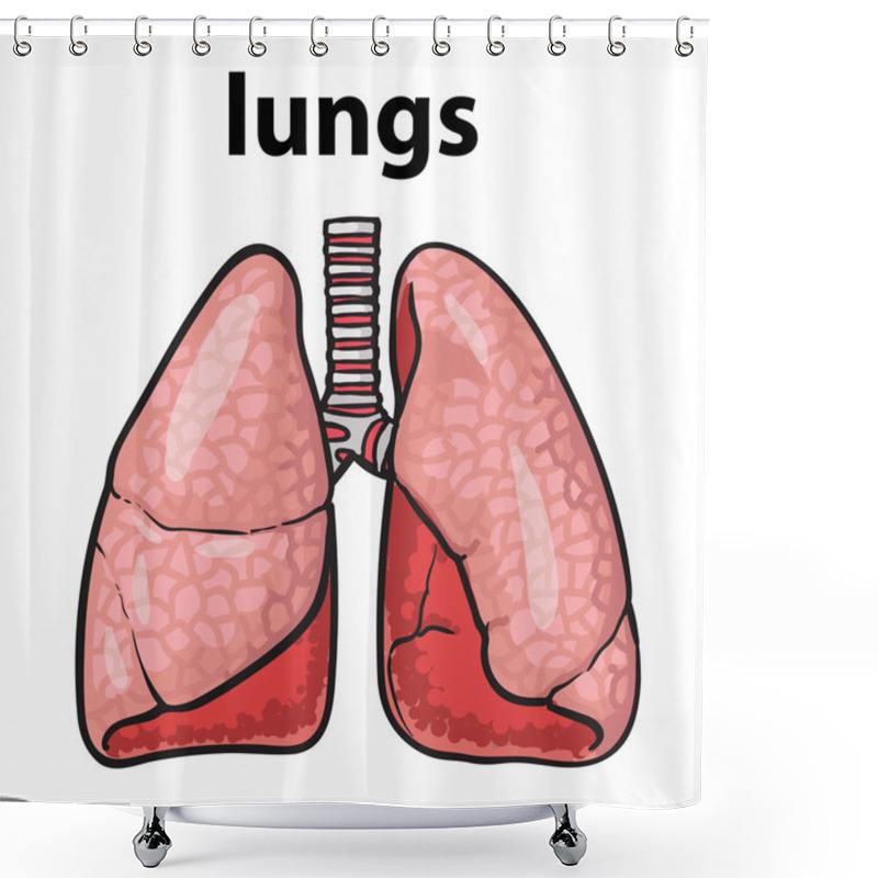 Personality  Lungs Of A Healthy Person Chitsye Shower Curtains