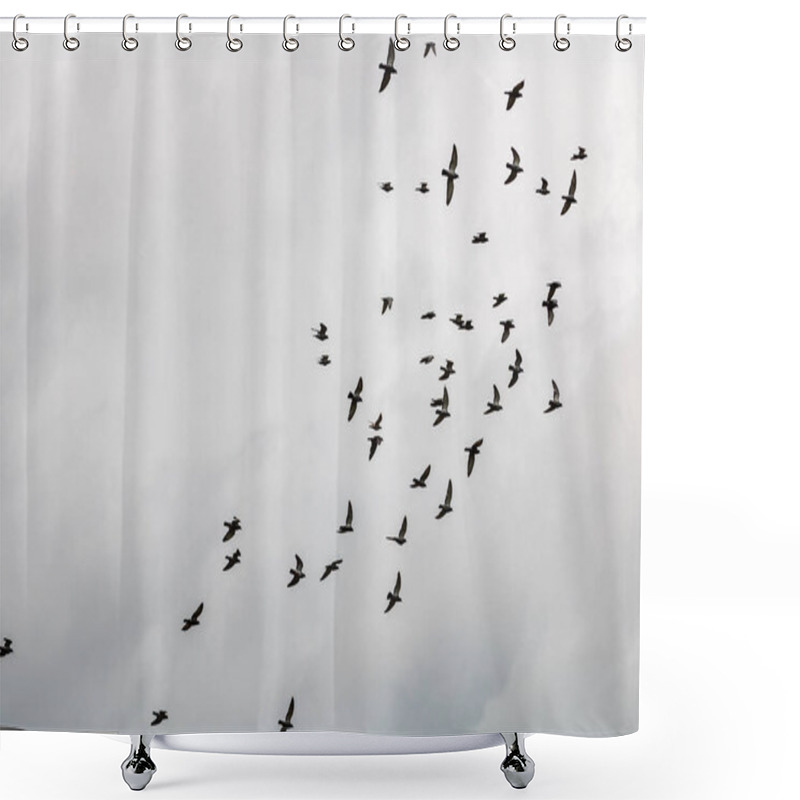 Personality  Many Pigeons Birds Flying In The Cloudy Sky Shower Curtains