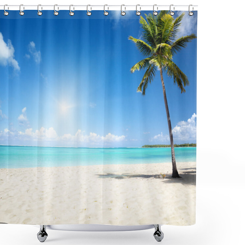 Personality  Sea And Coconut Palm Shower Curtains