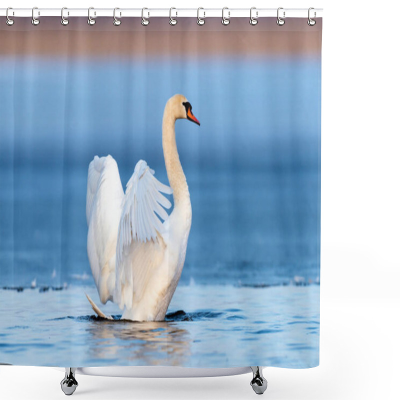 Personality  Mute Swan Flapping Wings Shower Curtains