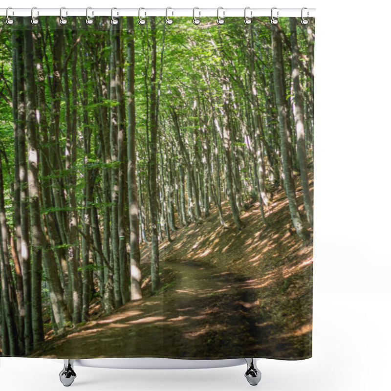 Personality  Tranquil Scene Of A Dirt Road Winding Through A Beech Forest On A Sunny Summer Day In The Carpathian Mountains, Showcasing Nature's Beauty Shower Curtains