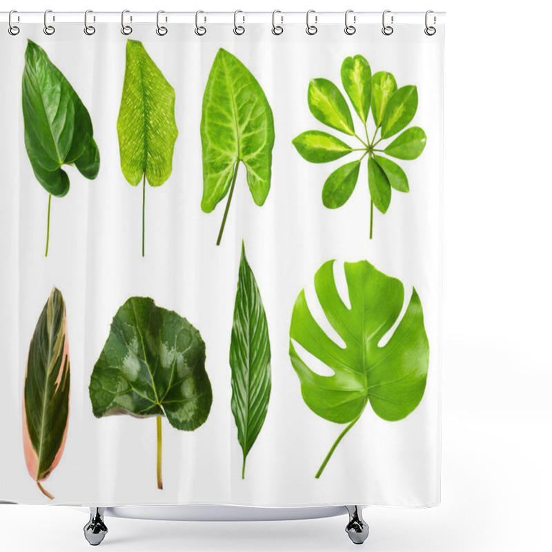 Personality  Different Houseplants Leaves Shower Curtains