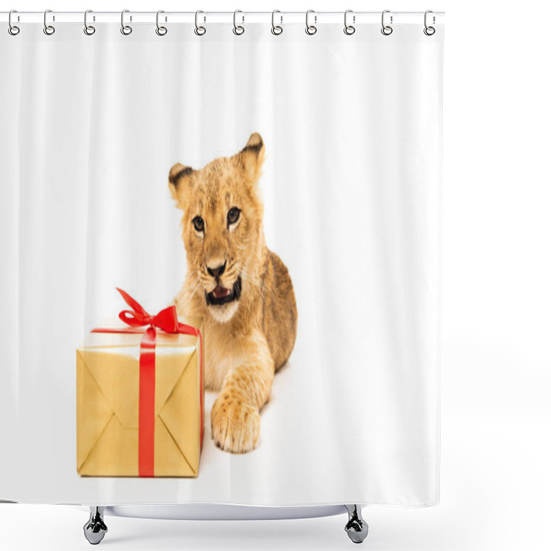 Personality  Cute Lion Cub Near Golden Gift With Red Ribbons Isolated On White Shower Curtains