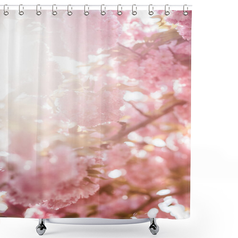 Personality  Cherry Blossom In April Shower Curtains