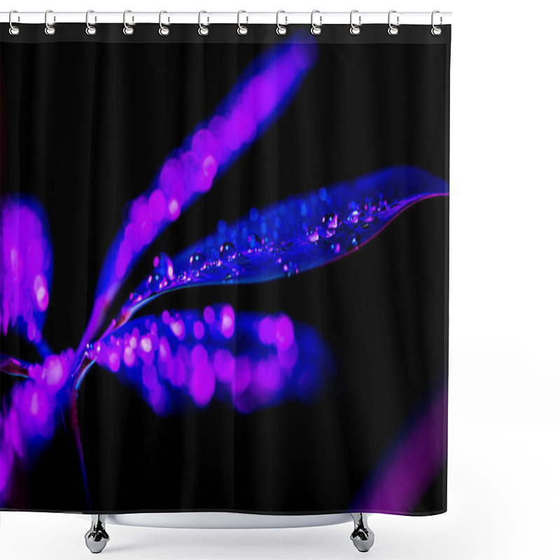 Personality  Toned Image Of Dark Wet Schefflera Leaf, Isolated On Black Shower Curtains