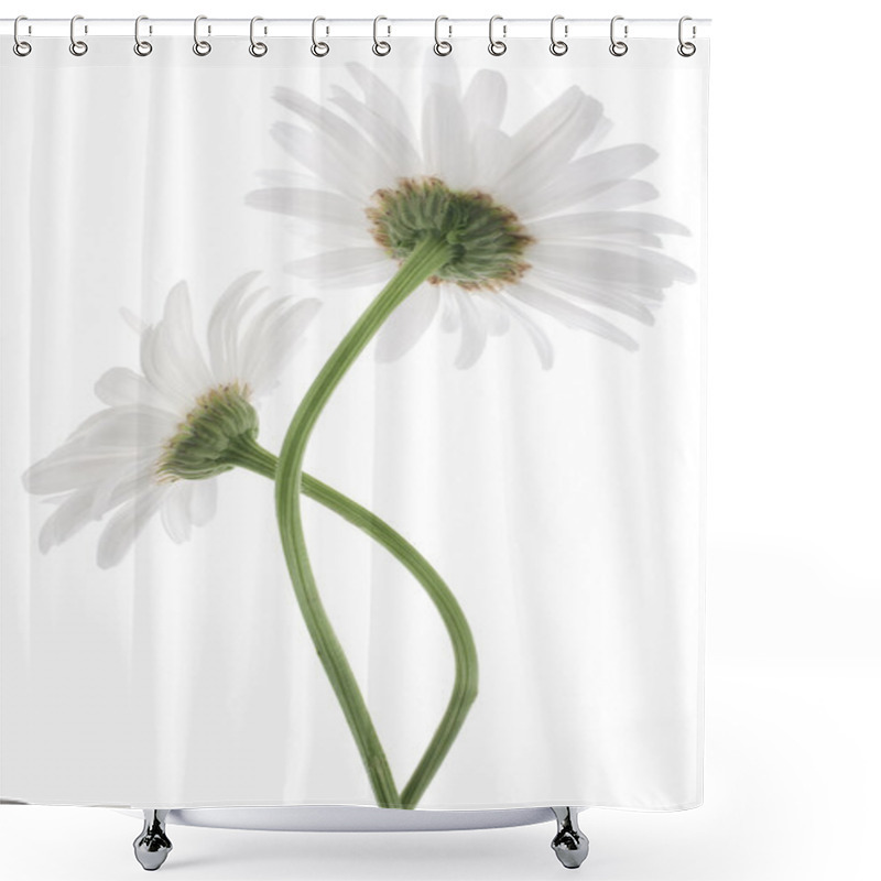 Personality  Daisy Flowers Shower Curtains