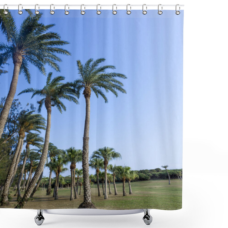 Personality  Green Grassland , Eluanbi Park, Kenting, Pin-Don,Taiwan Shower Curtains