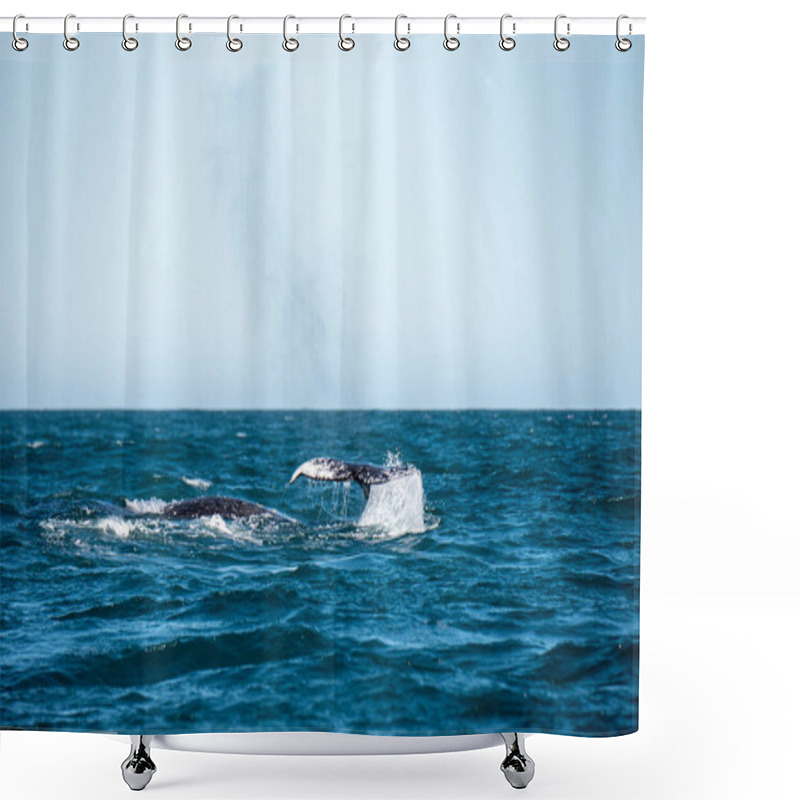 Personality  Beautiful Whale In The Ocean Shower Curtains