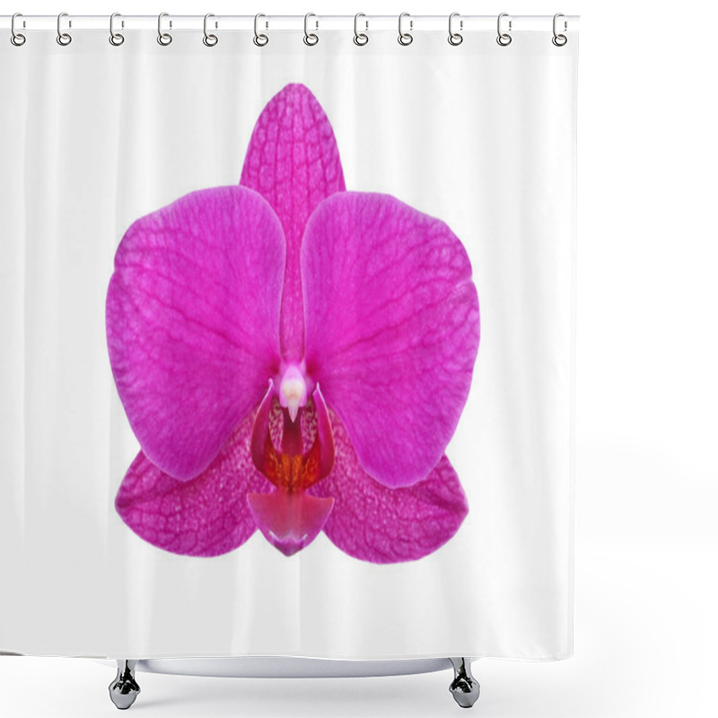 Personality  Purple Orchid Flower Shower Curtains