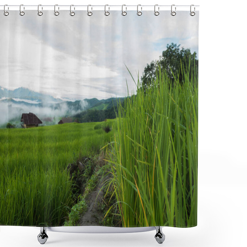 Personality  Top View Of The Rice Paddy Fields In Northern Thailand Shower Curtains