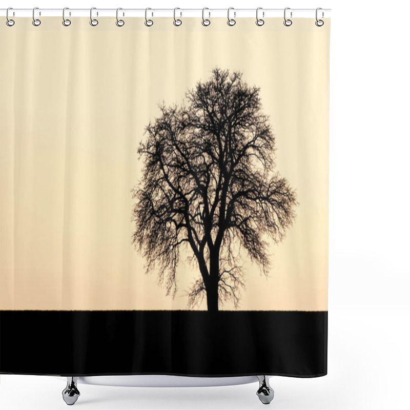 Personality  Single Tree Silhouette In Front Of Warm Toned Evening Sky Shower Curtains