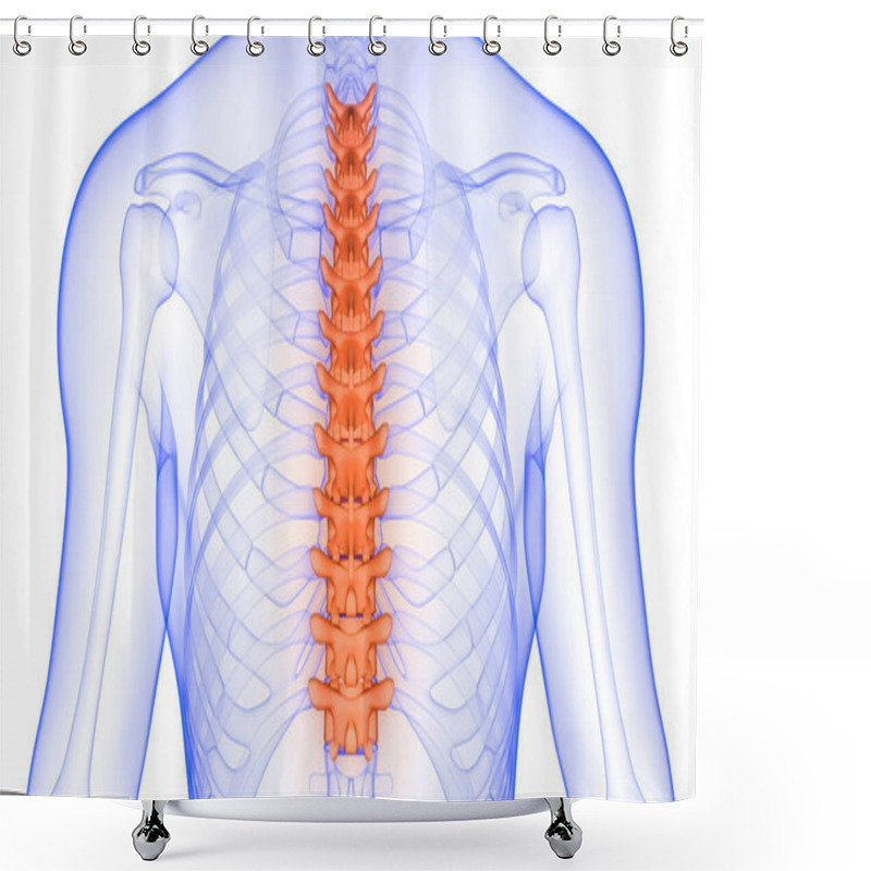 Personality  Vertebral Column Thoracic Vertebrae Of Human Skeleton Anatomy X-ray 3D Rendering Shower Curtains