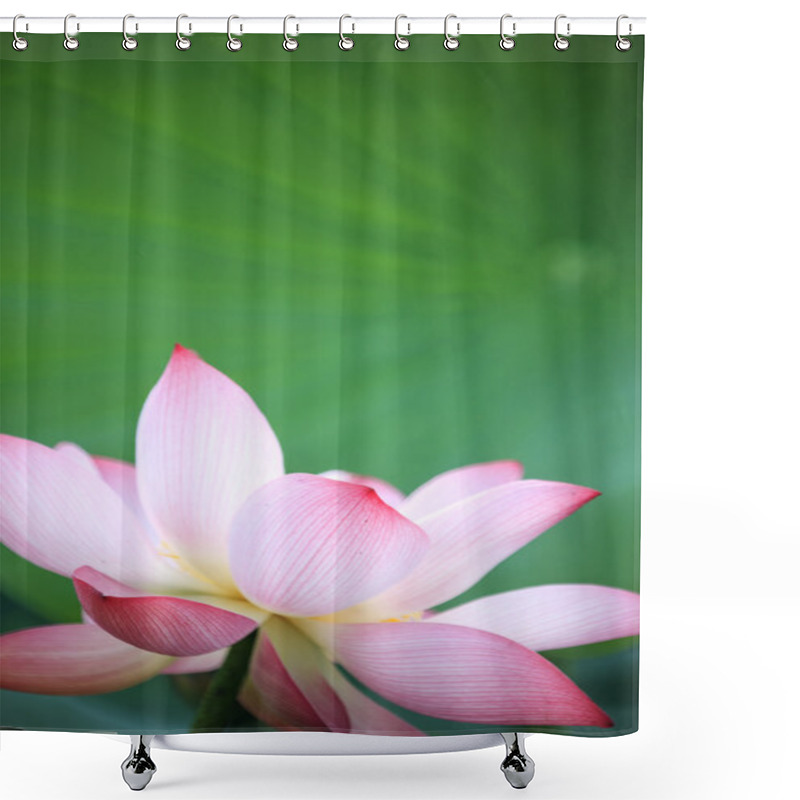 Personality  Lotus Flower And Lotus Flower Plants Shower Curtains