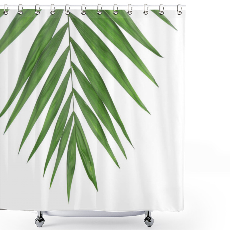 Personality  Beautiful Palm Leaf Shower Curtains