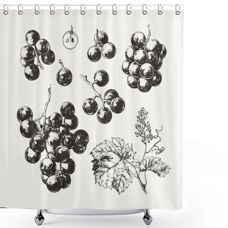 Personality  Ink Drawn Grape Shower Curtains