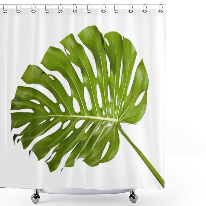 Personality  Monstera Deliciosa Leaf Or Swiss Cheese Plant, Tropical Foliage Isolated On White Background, With Clipping Path Shower Curtains