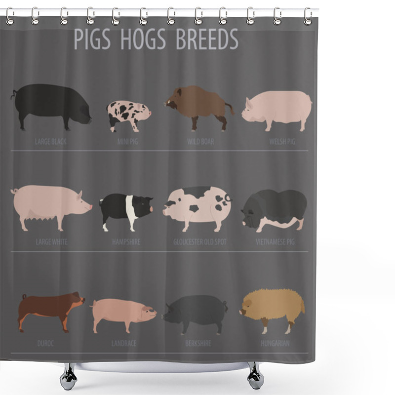 Personality  Pigs, Hogs Breed Icon Set. Flat Design Shower Curtains