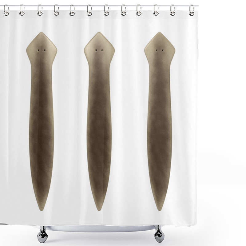 Personality  Dugesia Planarian Shower Curtains