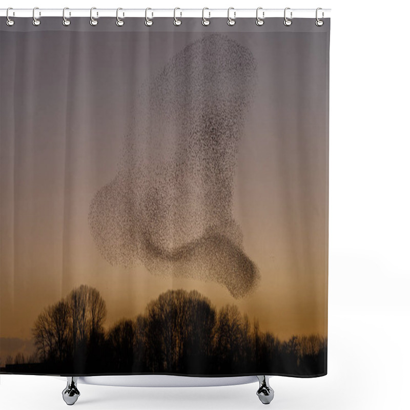 Personality  Murmurations Of Starlings During Sunset, Beautiful Nature Background Shower Curtains