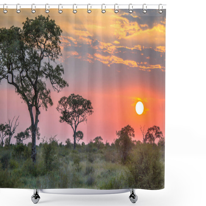 Personality  African Sun  Over Savanna Plain Shower Curtains