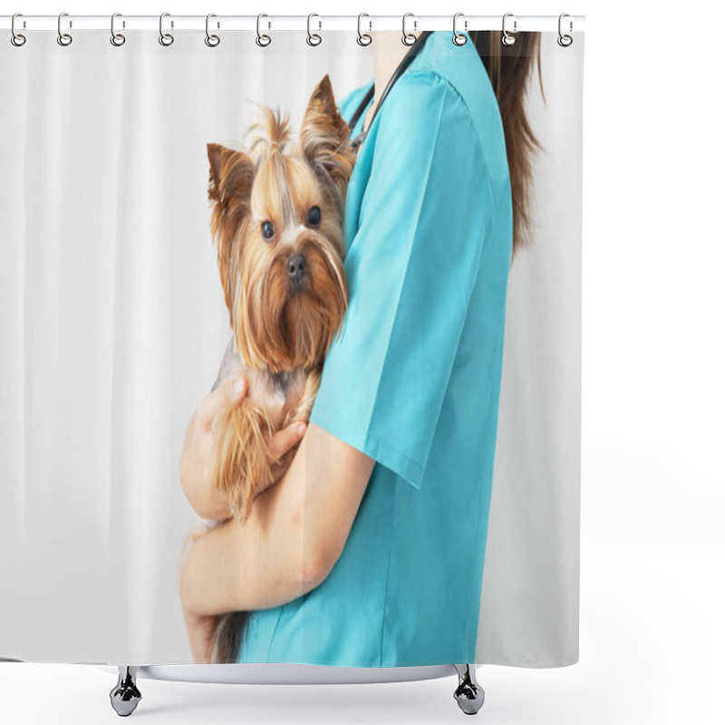 Personality  A Small Yorkshire Terrier Dog At A Veterinarian's Appointment. The Concept Of Caring For Pets. Shower Curtains