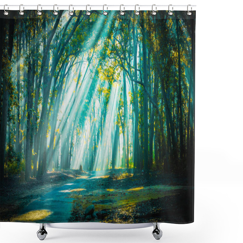 Personality  Road To Home. Sunrays With Mist Appearing Shower Curtains